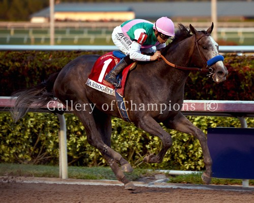 Foto coppa del mondo arrogate - coppa,