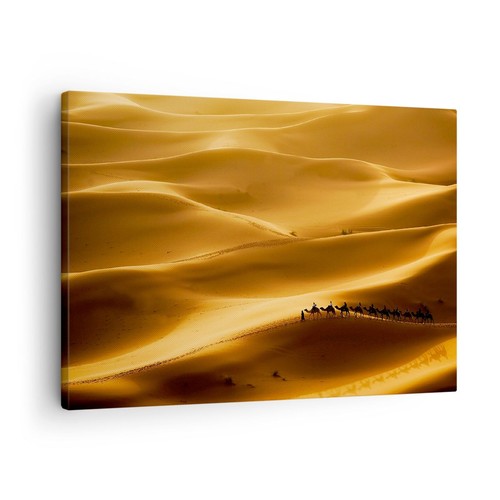 Quadro tela 70x50cm africa - quadro, su