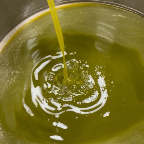 Olio evo biologico - 10, litri
