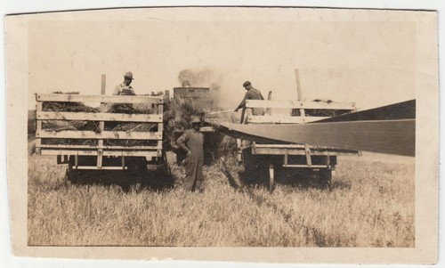 C1910s trebbiatrice equipaggio - c1910s,