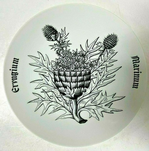 Matthioli fornasetti milano - fornasetti,