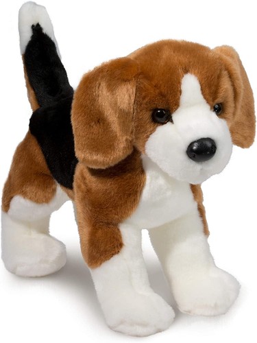 Tri color beagle dog - tri-color,