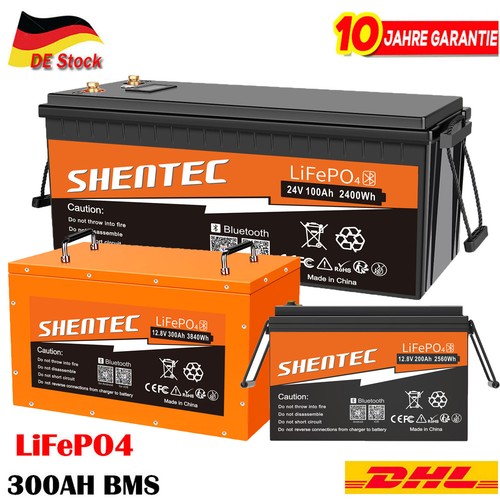 Batteria lifepo4 12v 24v 100ah - batteria,