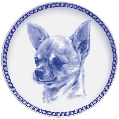 Chihuahua cappotto liscio - chihuahua,
