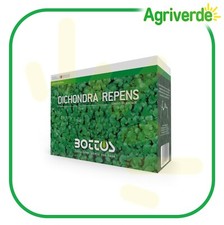 Semi Dichondra Repens Sementi