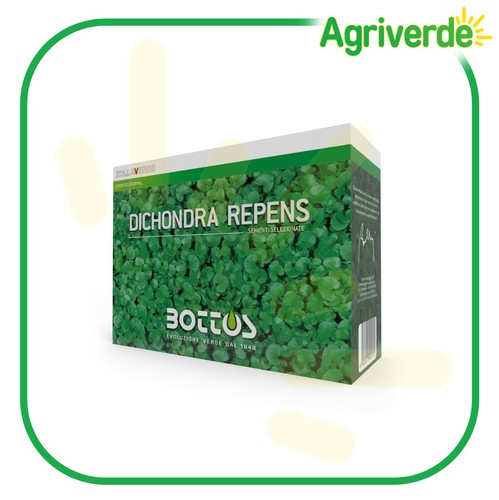 Semi dichondra repens - repens, sementi