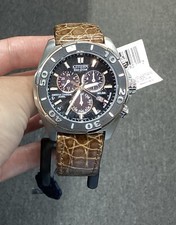 Citizen Eco Drive Signature