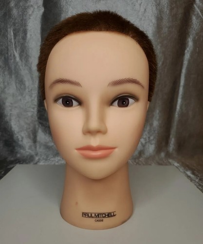 Paul mitchell manichino - paul,