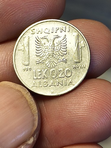 Rara albania vittorio - rara, r
