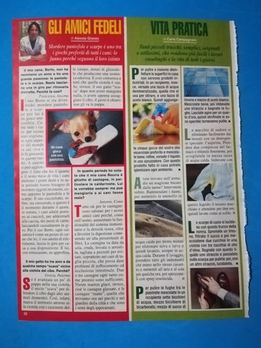 Ritaglio giornale gossip tv - ritaglio,