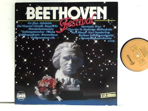 Beethoven festival van - festival,