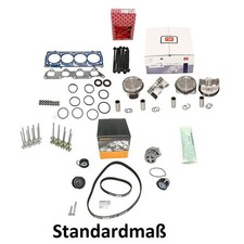 Rep Kit with Piston STD +