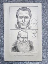 Secretiveness - Phrenology -