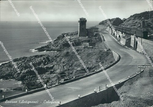 Bu321 cartolina livorno citta - bu321,