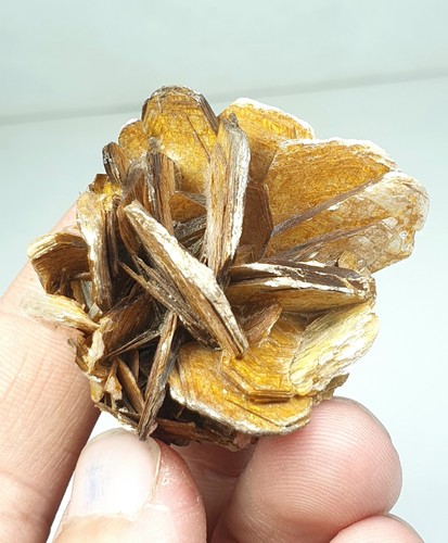 Fiore mica moscovita - fiore,