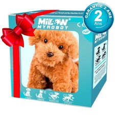 Robot elettronico interattivo