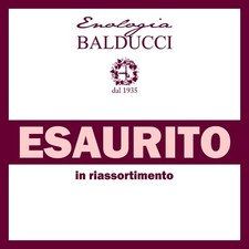 N°20 Bottiglie Marasca per