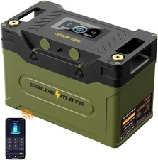 GOLDENMATE 12V 100Ah LiFePO4