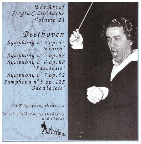 The art sergiu celibidache - art,