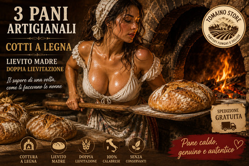 Pane casareccio cottura forno - casareccio,