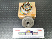 Volano Statore Campo Magnetico