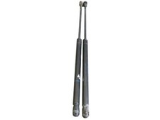 Portellone Dx SX per Ford
