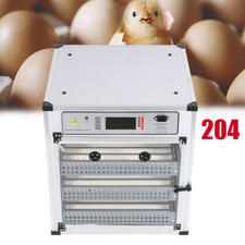 204 incubatrice uova covata
