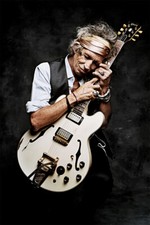 Ritratto del chitarrista