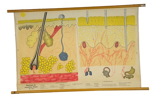Poster tradizionale parete - poster,