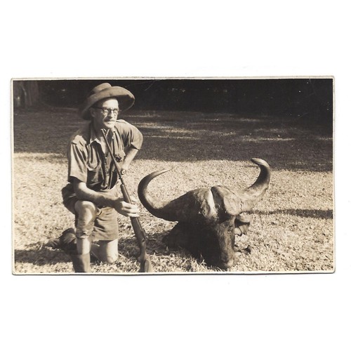 Big game hunter with buffalo - game,