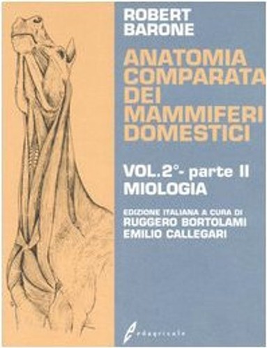 Anatomia comparata dei