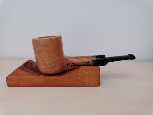 Pipa radica - pipa, in
