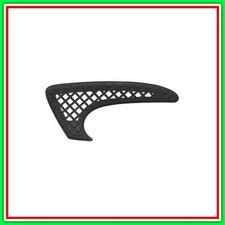 Griglia Sinistra Paraurti