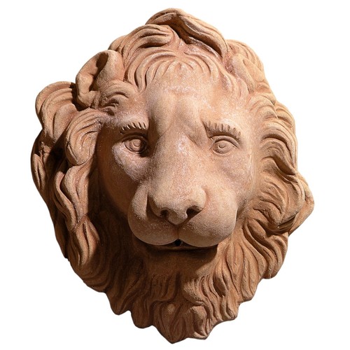 Testa leone pannello - di,