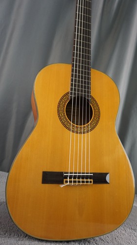 Chitarra acustica classica