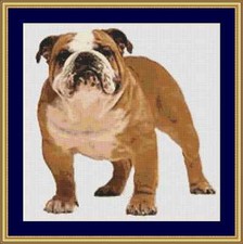 Kit punti croce cane bulldog