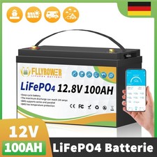 Batteria Litio 12V 100Ah