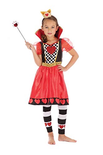 Bristol novelty costume da - bristol,