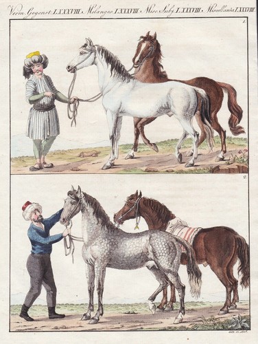 Incisione bertuch 1807 - 1807, di