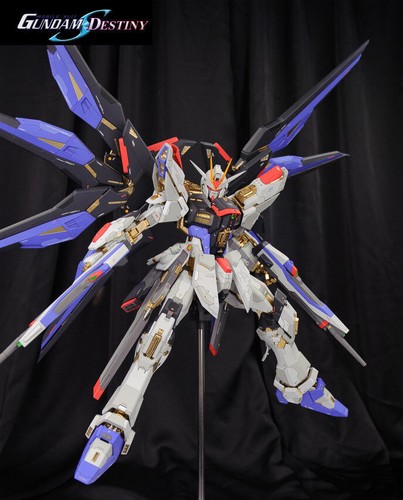 Per zgmf x20a - 1/60, strike