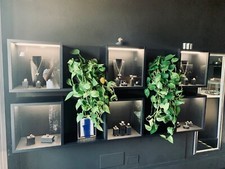 mobili di alto livello negozio gioielleria completo. In nobilitato nero. 