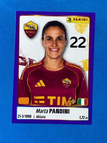 Panini figurine calciatrici - panini,
