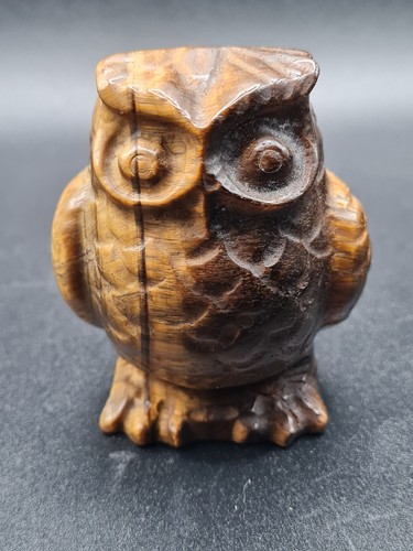 Tiger eye owl - eye, |