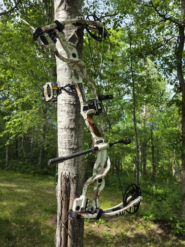 Hoyt carbon spyder - hoyt, with