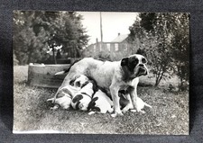Fotografia originale 5x7 madre