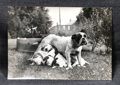Original 5x7 photograph - photograph, sad