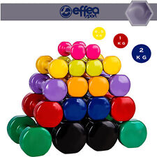 Pesi palestra manubri manubrio