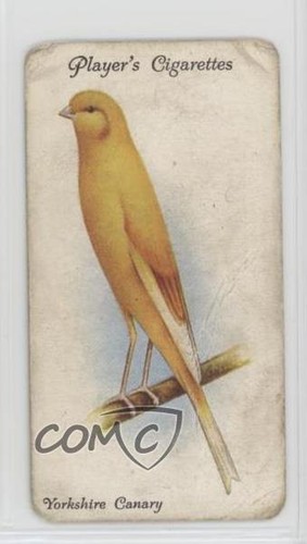 1933 giocatore aviaria - giocatore, e