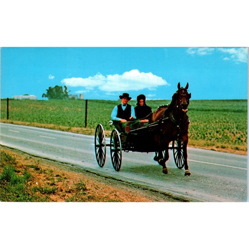 Amish open top courting - open,