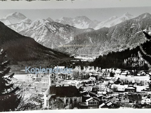 Foresta centrale con - , montagne
